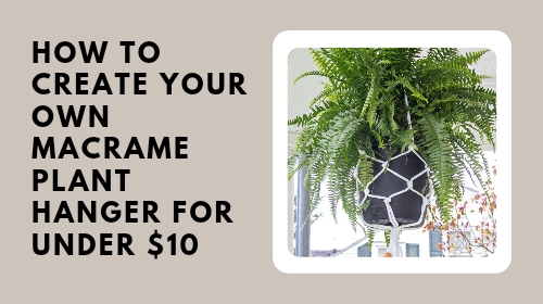 How to Create Your Own Macrame Plant Hanger for Under $10