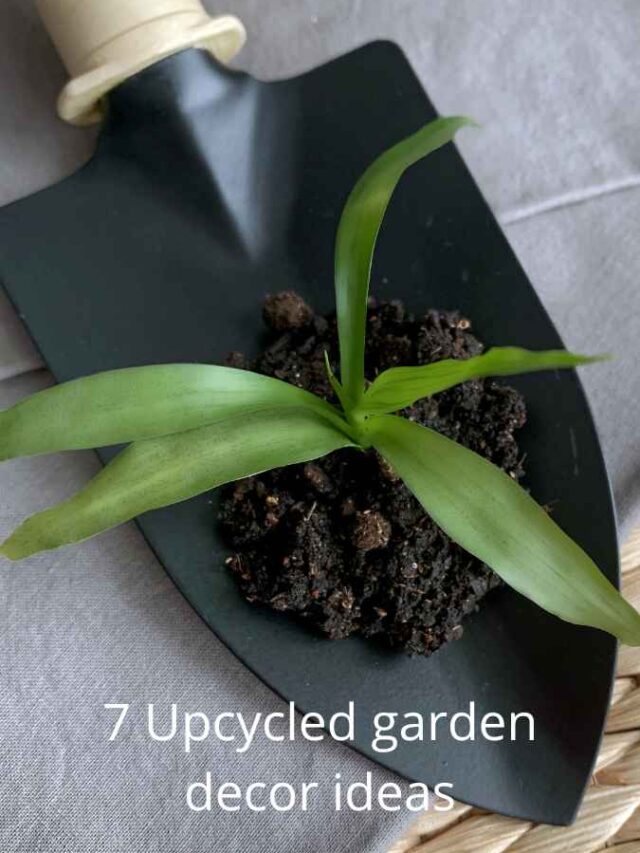 7 Upcycled Garden Decor Ideas
